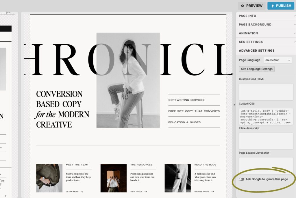 screenshot of Showit's backend showing Google's no-index tag setting