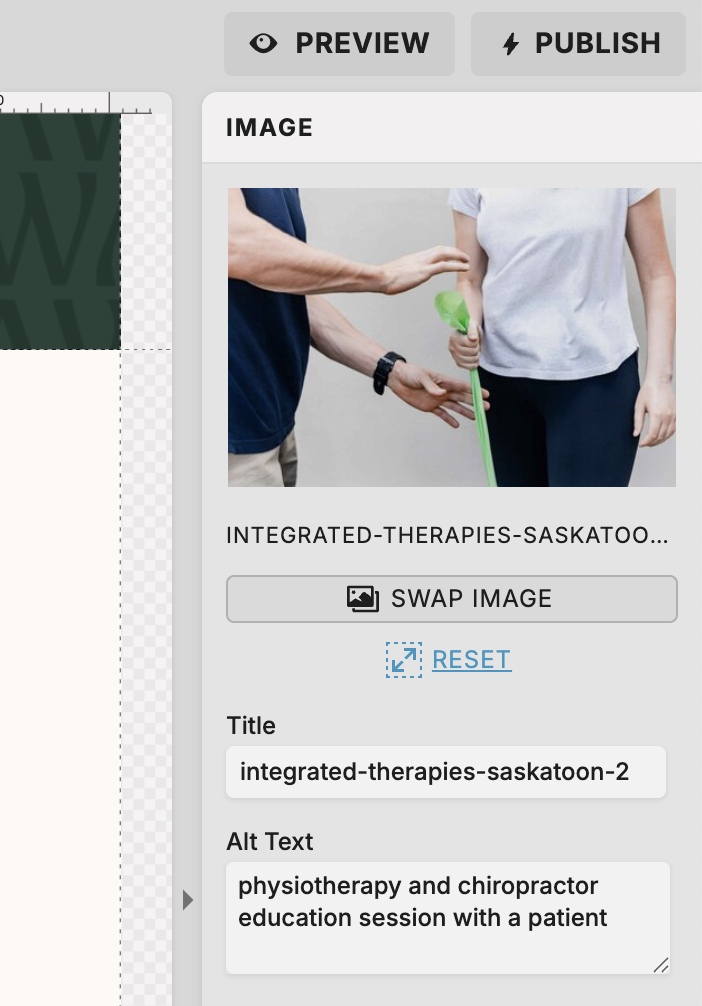 image optimization preview in showit backend